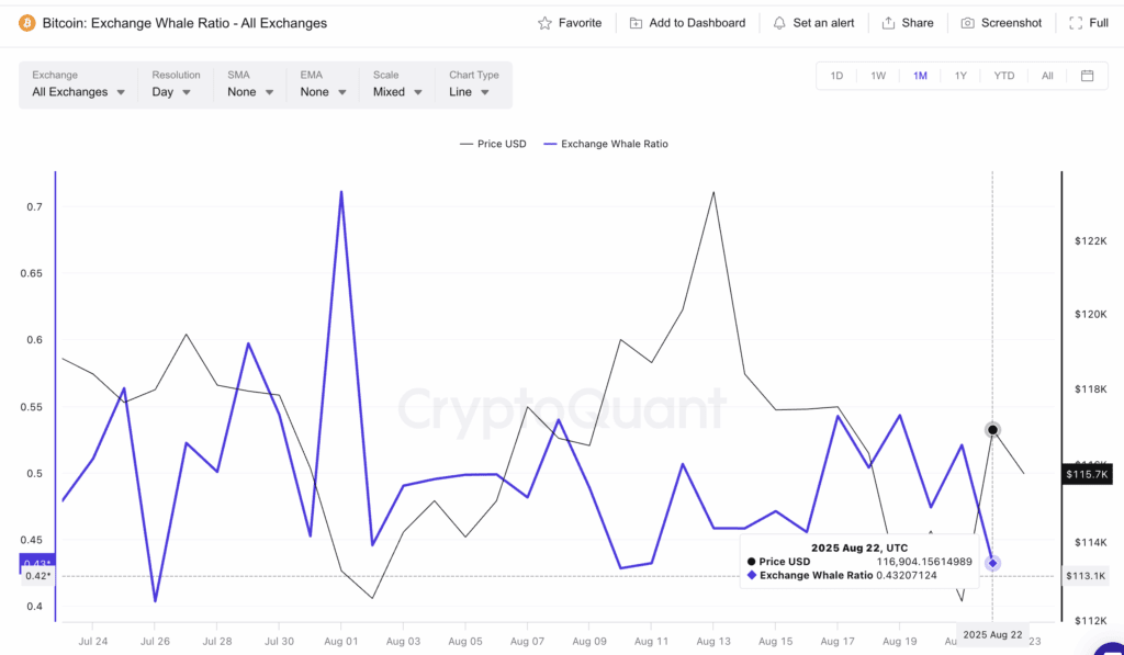 Whale indicators show the direction of the new price for