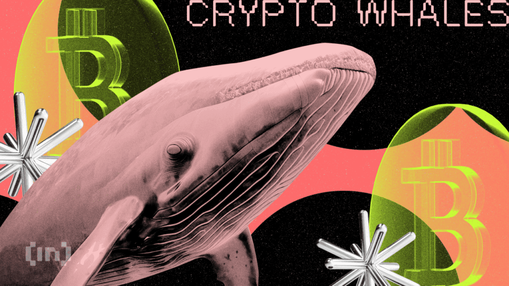 What are crypto whales buying and selling when the market