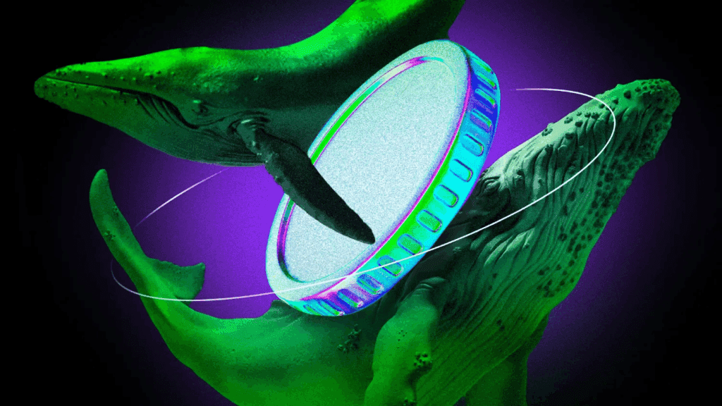 Crypto whales buy these 3 altcoins after market crash
