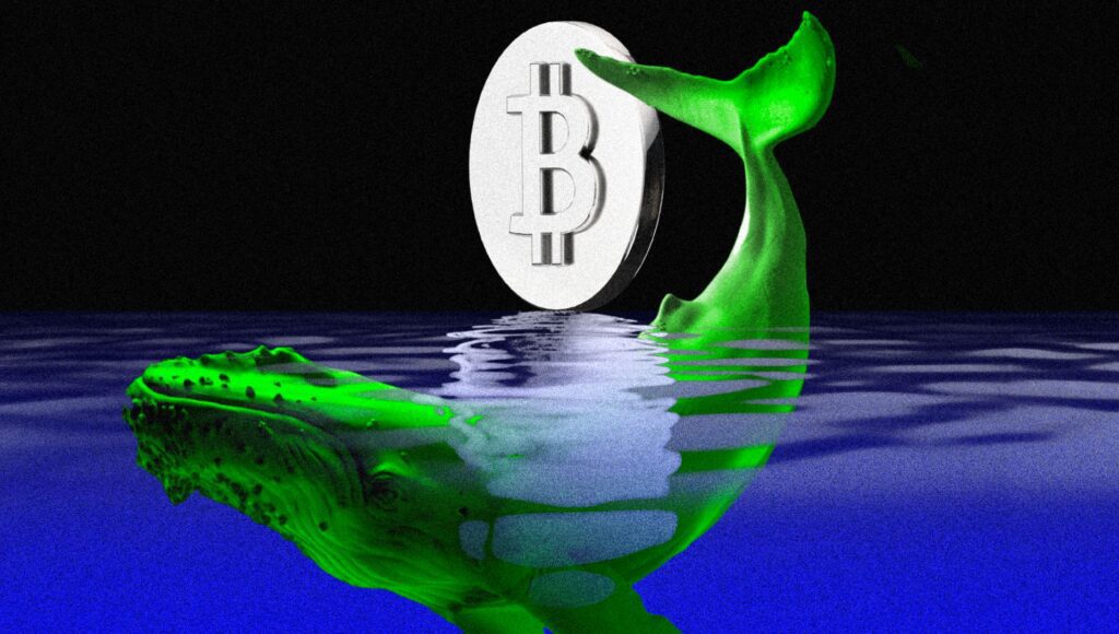 How this crypto whale made $17 million in two weeks How this crypto whale made $17 million in two weeks