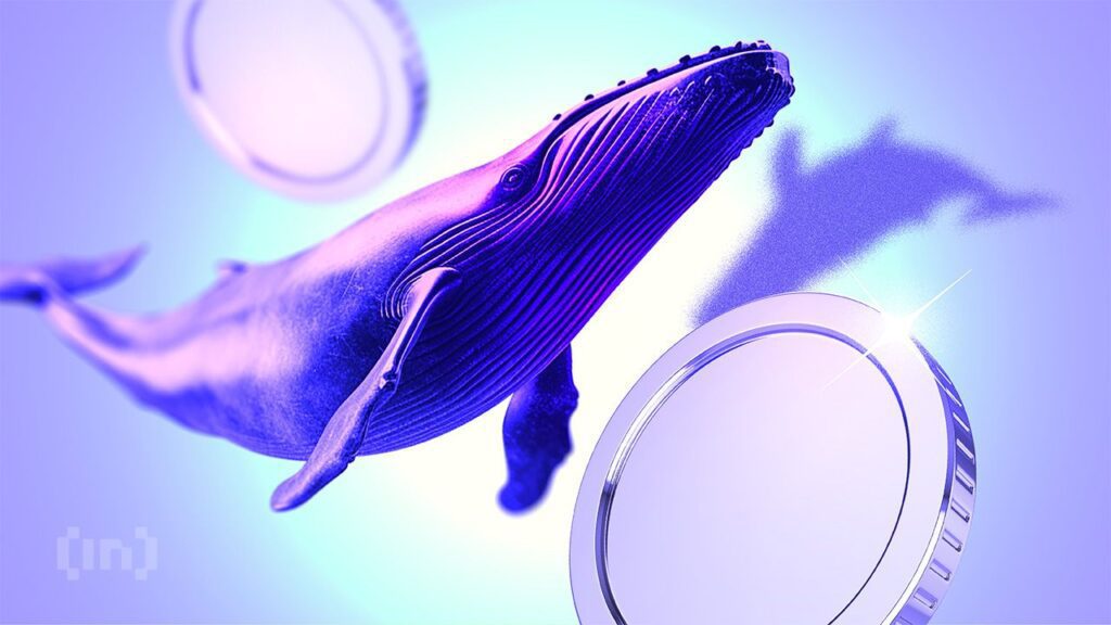 Are crypto whales buying these 3 altcoins for december profits?